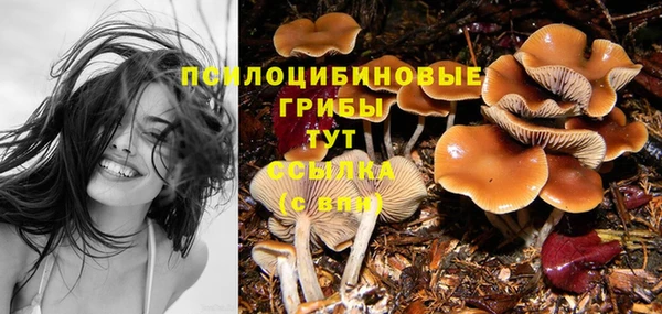 прущие крисы Арсеньев