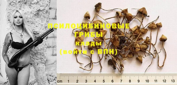 прущие крисы Арсеньев