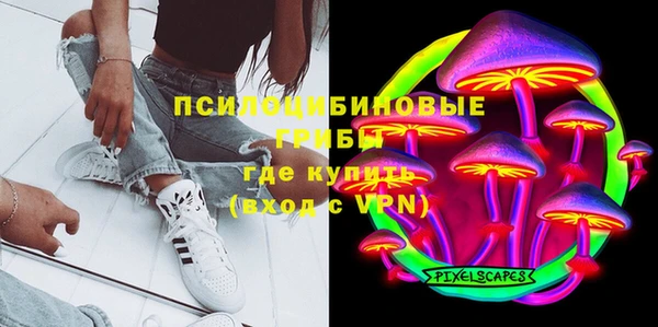 прущие крисы Арсеньев